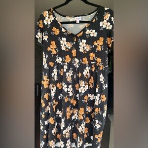 LuLaRoe Heidi Dress